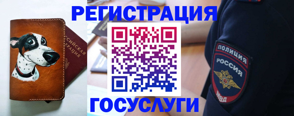 временная регистрация в квартире в Электростали